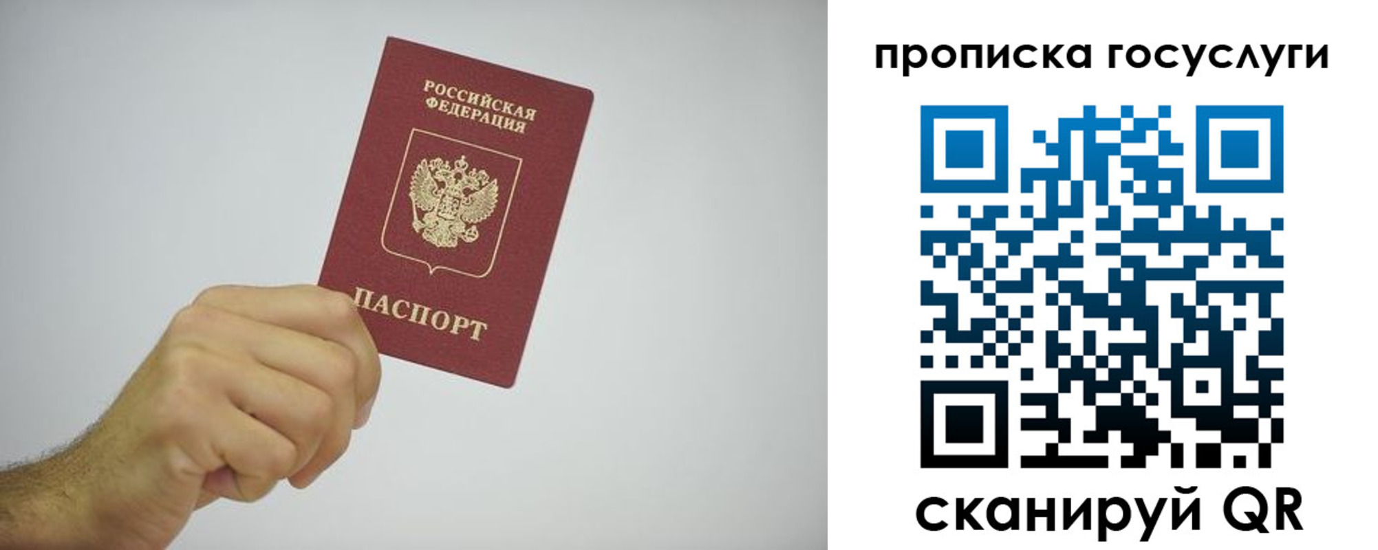 прописка законно в Ермолино